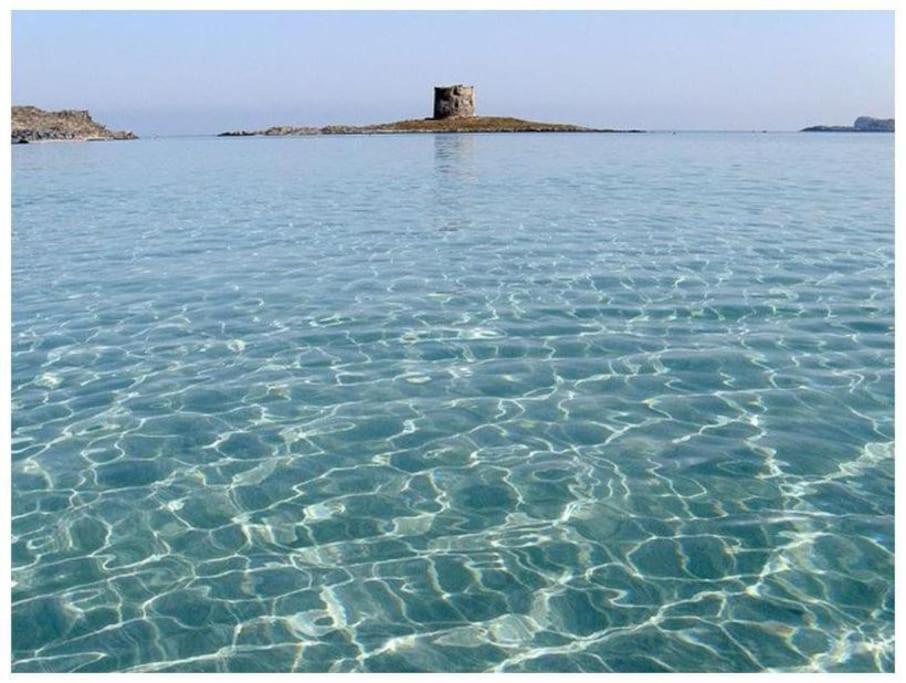 Appartamento L' Elicriso, A Pochi Passi Dal Mare Con Giardino Privato - The Elicriso, A Few Meters From The Sea, With Private Garden Stintino Esterno foto