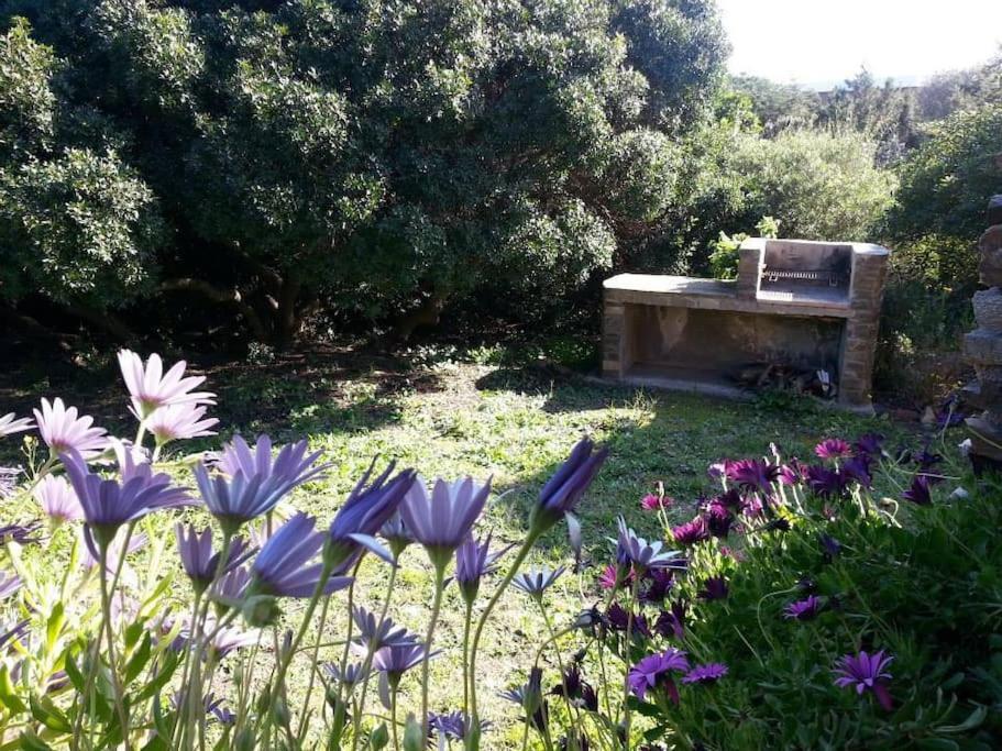 Appartamento L' Elicriso, A Pochi Passi Dal Mare Con Giardino Privato - The Elicriso, A Few Meters From The Sea, With Private Garden Stintino Esterno foto