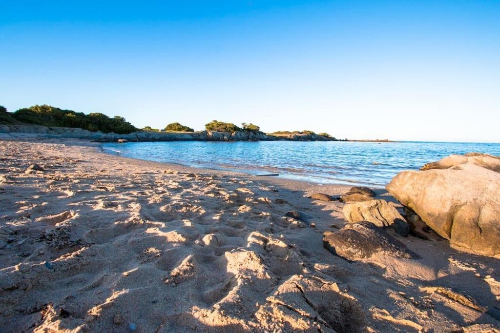 Appartamento L' Elicriso, A Pochi Passi Dal Mare Con Giardino Privato - The Elicriso, A Few Meters From The Sea, With Private Garden Stintino Esterno foto