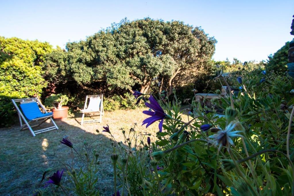 Appartamento L' Elicriso, A Pochi Passi Dal Mare Con Giardino Privato - The Elicriso, A Few Meters From The Sea, With Private Garden Stintino Esterno foto