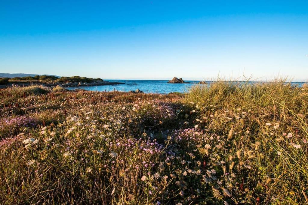 Appartamento L' Elicriso, A Pochi Passi Dal Mare Con Giardino Privato - The Elicriso, A Few Meters From The Sea, With Private Garden Stintino Esterno foto