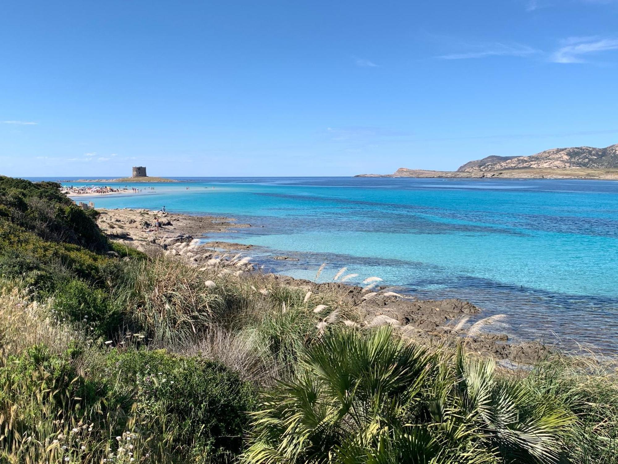 Appartamento L' Elicriso, A Pochi Passi Dal Mare Con Giardino Privato - The Elicriso, A Few Meters From The Sea, With Private Garden Stintino Esterno foto