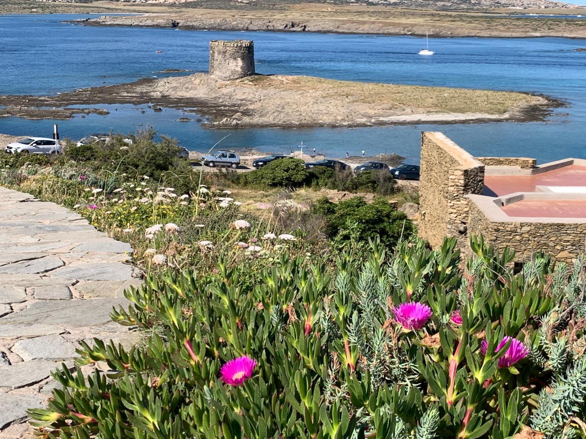 Appartamento L' Elicriso, A Pochi Passi Dal Mare Con Giardino Privato - The Elicriso, A Few Meters From The Sea, With Private Garden Stintino Esterno foto