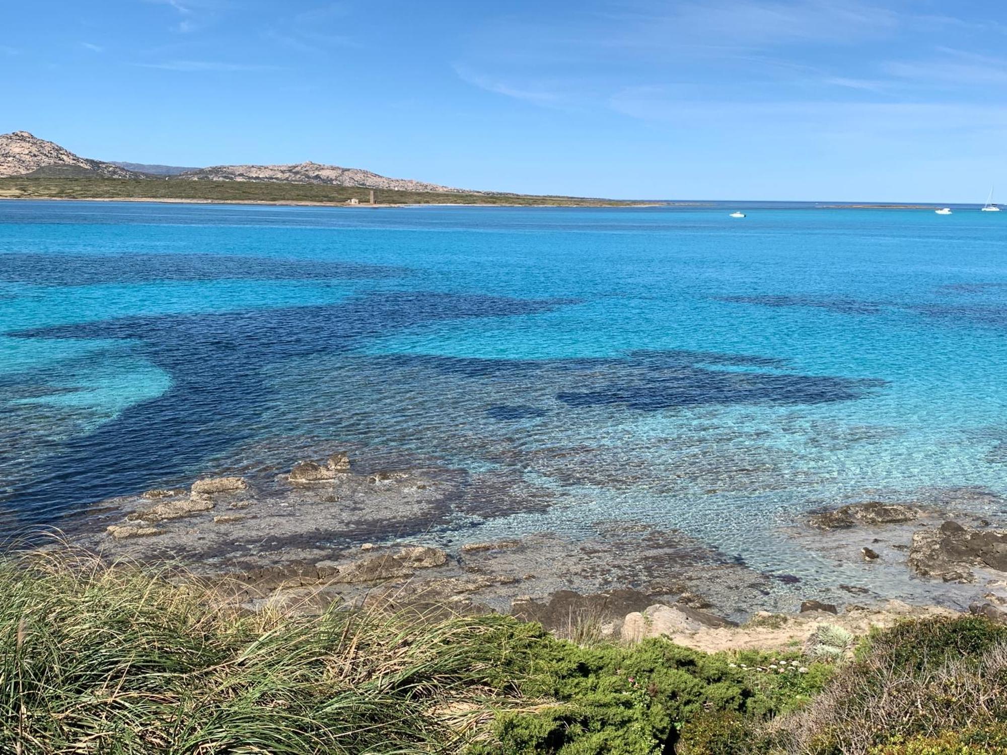 Appartamento L' Elicriso, A Pochi Passi Dal Mare Con Giardino Privato - The Elicriso, A Few Meters From The Sea, With Private Garden Stintino Esterno foto